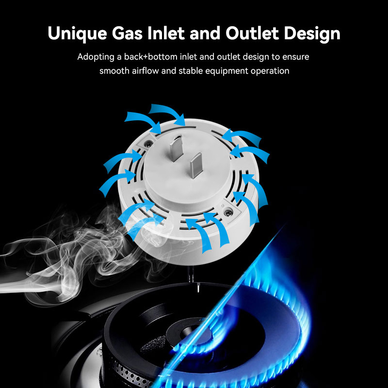 Meian Zigbee-Detector de Gas T - Smart Gas Leak Detector Lpg reseña y precio