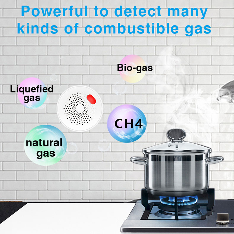 Sensor de Gas Natural Wifi 2.4 - Smart Gas Leak Detector Lpg reseña y precio