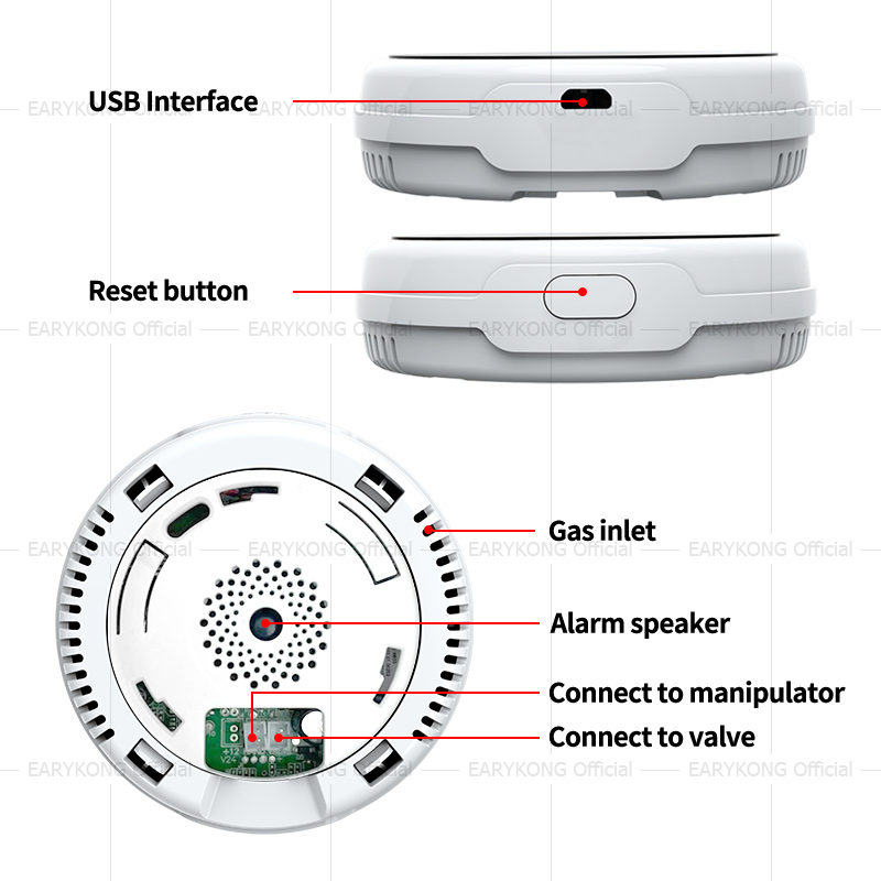 Tuya-Detector de Gas con WiFi  - Smart Gas Leak Detector Lpg reseña y precio