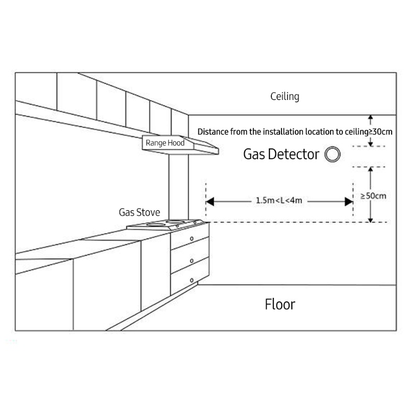 Detector de fugas de gas WiFi  - Smart Gas Leak Detector Lpg reseña y precio
