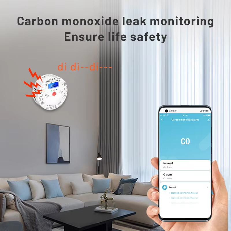 Detector de Monóxido de Carbon - Carbon Monoxide Detector Combo reseña y precio