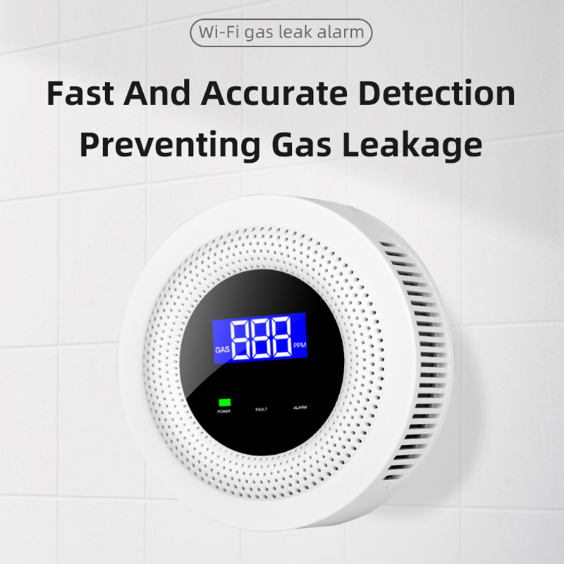 Detector de fugas de gas GLP c - Smart Gas Leak Detector Lpg reseña y precio