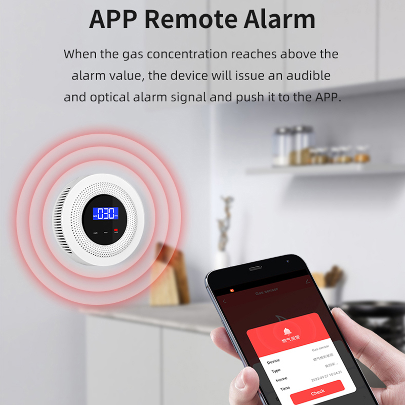 Detector de fugas de gas GLP c - Smart Gas Leak Detector Lpg reseña y precio