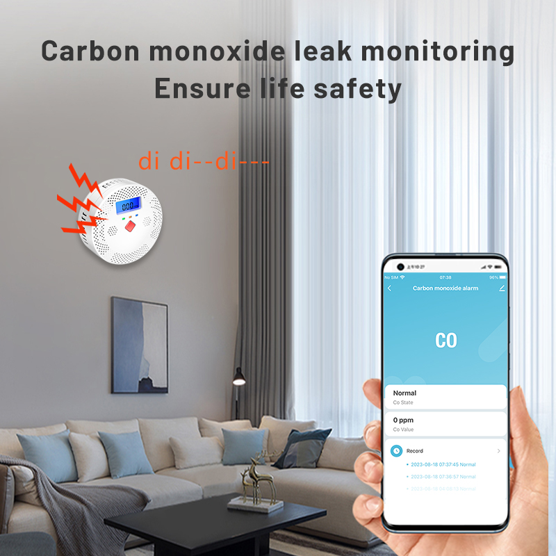 Detector de Monóxido de Carbon - Carbon Monoxide Detector Combo reseña y precio
